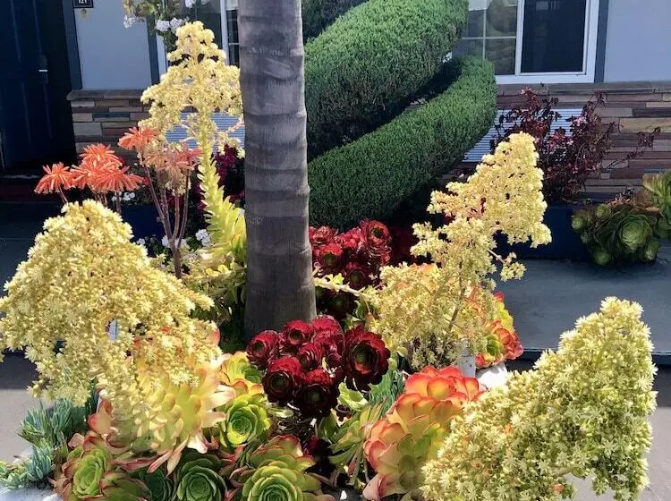 Отель Blu Pacific