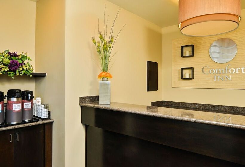 בית מלון כפרי Blu Pacific