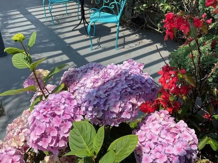 Отель Blu Pacific