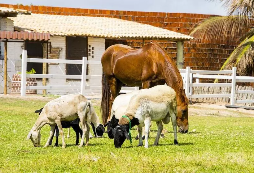 Coliseum Beach Hotel All Inclusive