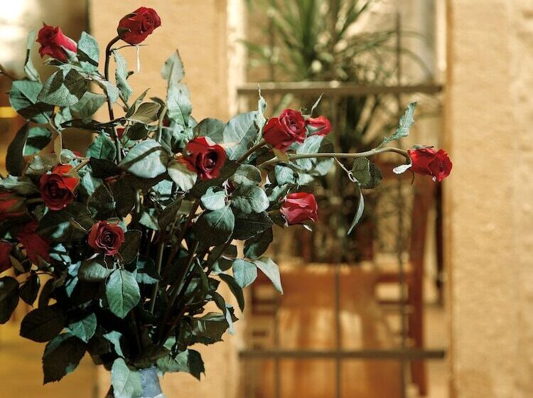 בית מלון כפרי Leo