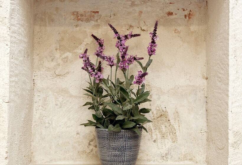 בית מלון כפרי Leo