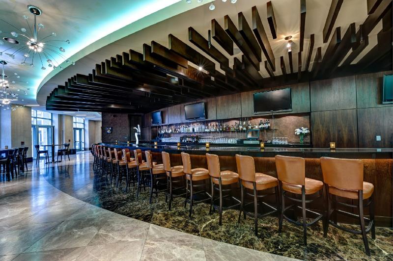 فندق Loews Chicago O Hare