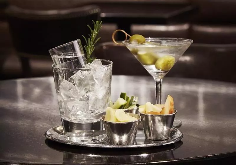 هتل Loews Chicago O Hare