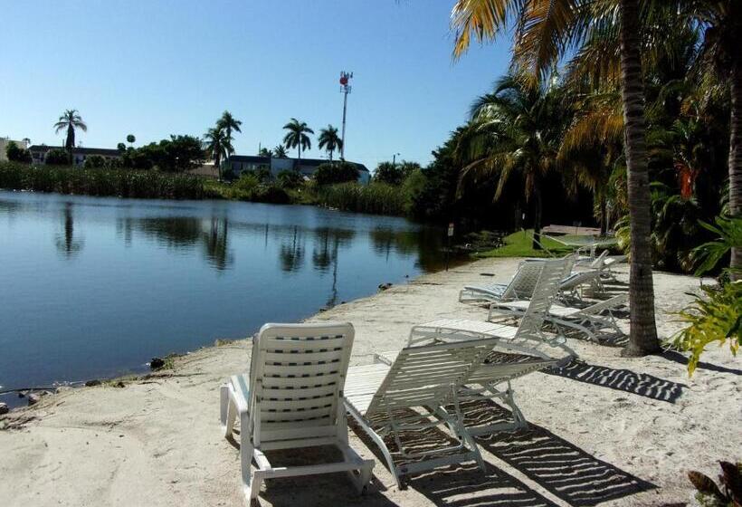Отель Marco Island Lakeside Inn