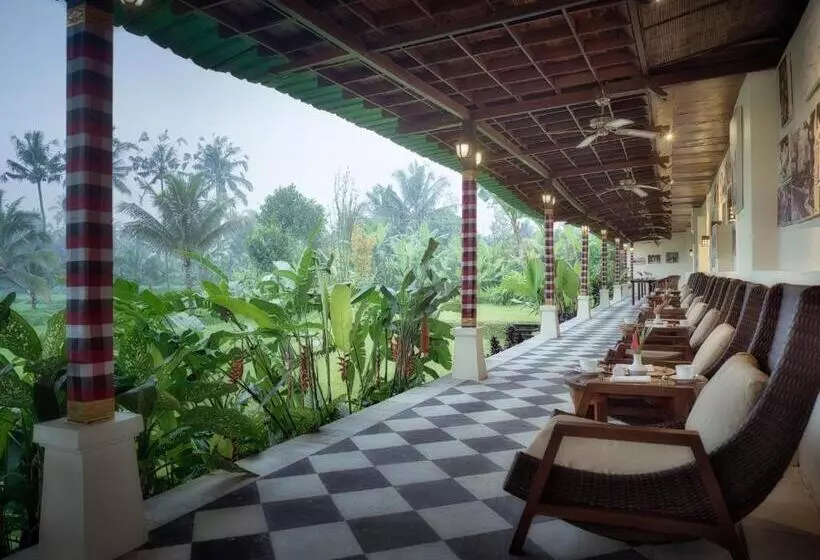 Hotel Nandini Jungle By Hanging Gardens