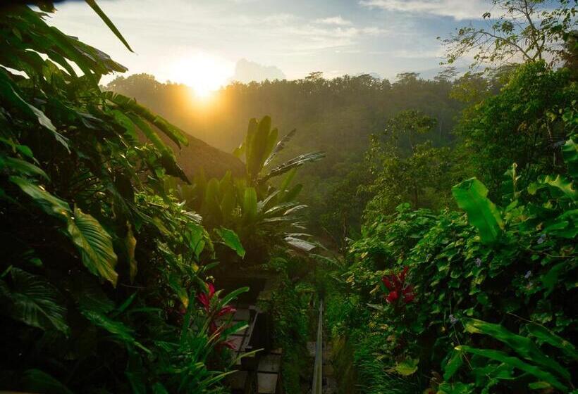 Otel Nandini Jungle By Hanging Gardens