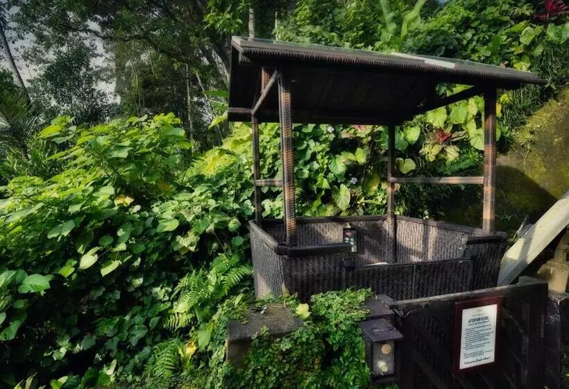 Hotel Nandini Jungle By Hanging Gardens