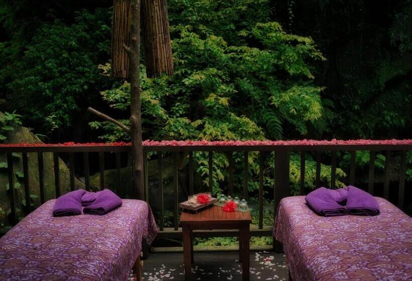 Otel Nandini Jungle By Hanging Gardens