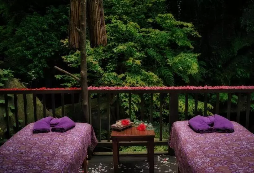 Hotel Nandini Jungle By Hanging Gardens