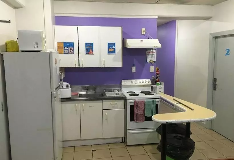 酒店 Fat Camel Backpackers  Auckland