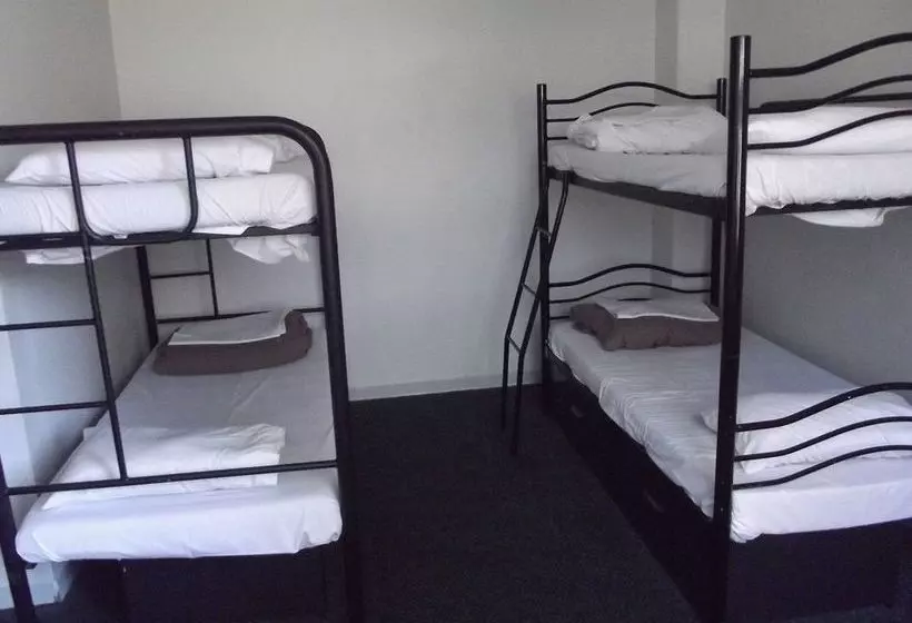 酒店 Fat Camel Backpackers  Auckland