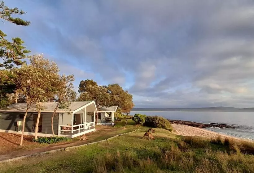 Отель Nrma Murramarang Beachfront Holiday Resort