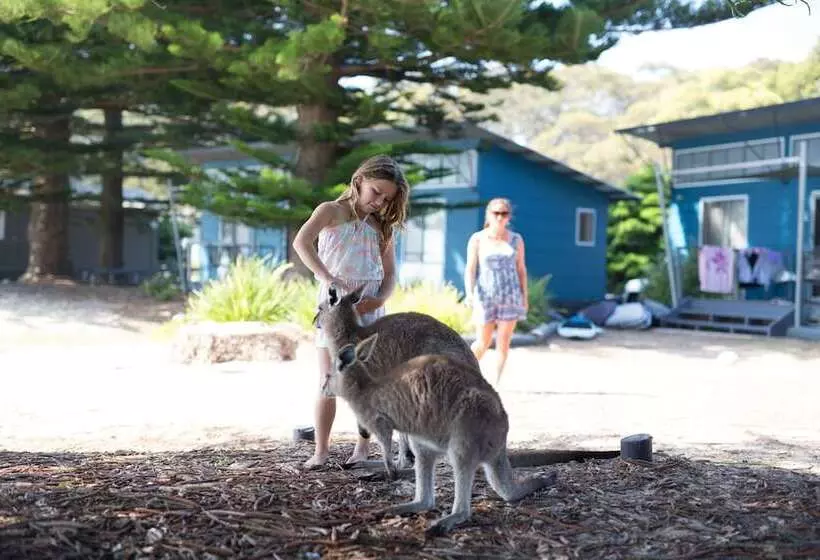 Отель Nrma Murramarang Beachfront Holiday Resort