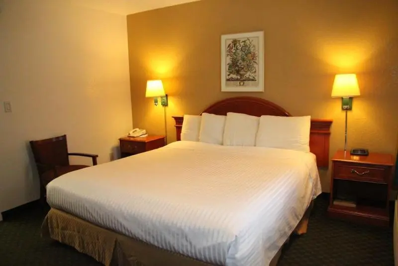 ホテル Redwood Creek Inn