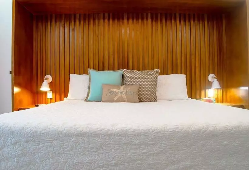 هتل The Palms Resort