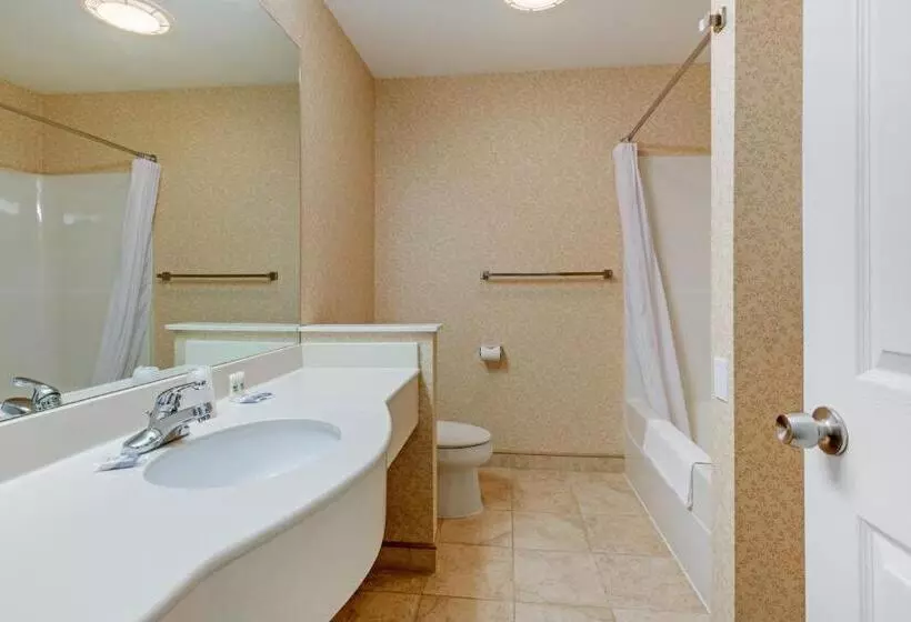 モーテル Ogunquit Hotel And Suites