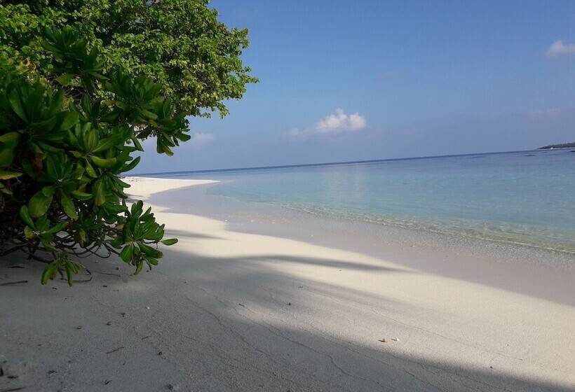 هتل Muli Inn Surf View Maldives