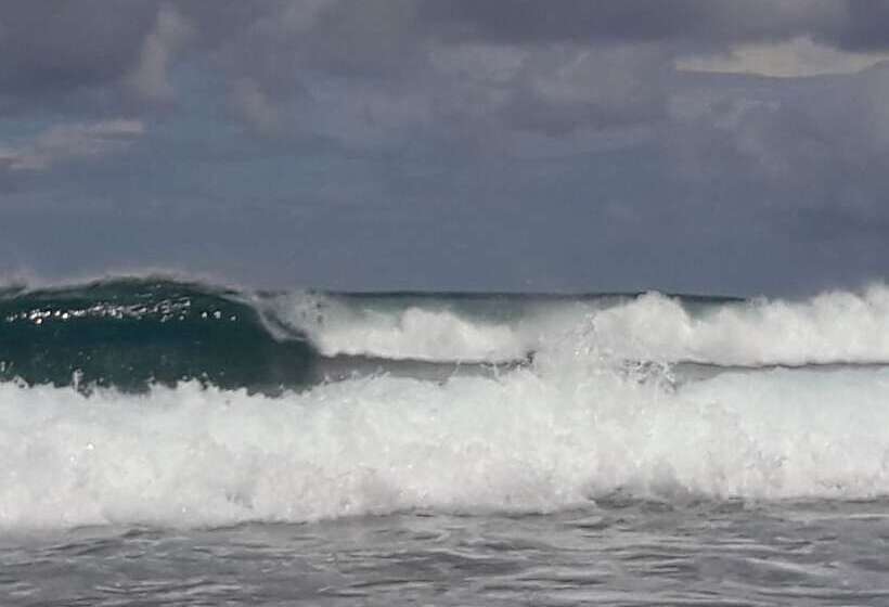 هتل Muli Inn Surf View Maldives