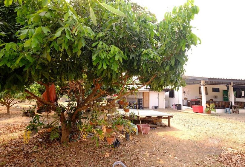 בית מלון כפרי Mini Guesthouse