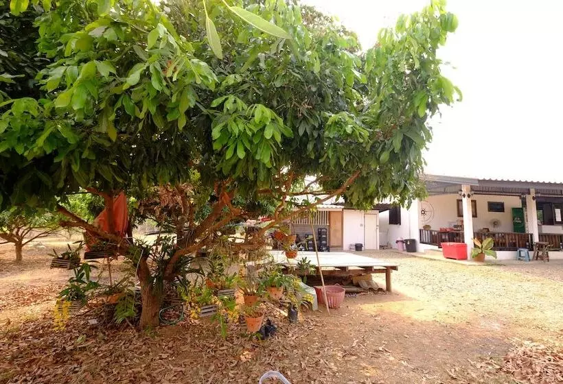 ホテル Mini Guesthouse