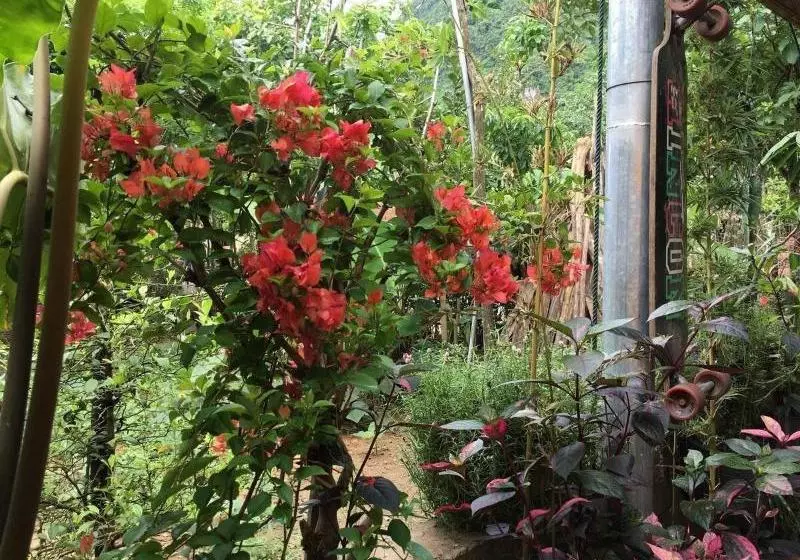 هتل Phong Nha Rustic Home