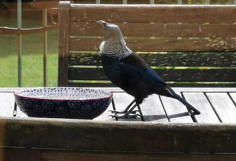 בית מלון כפרי Tui Hideaway