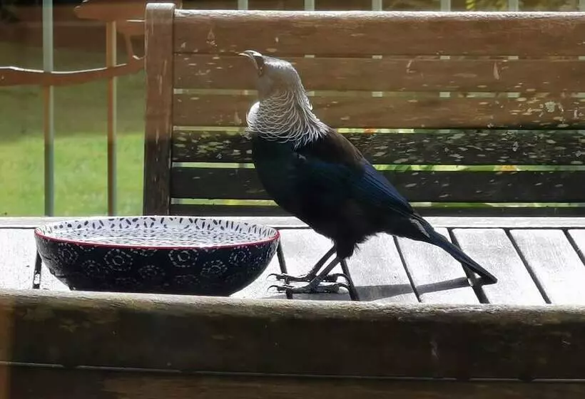 Hotelli Tui Hideaway