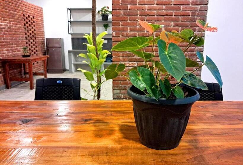 بنسيون La Serene Resort