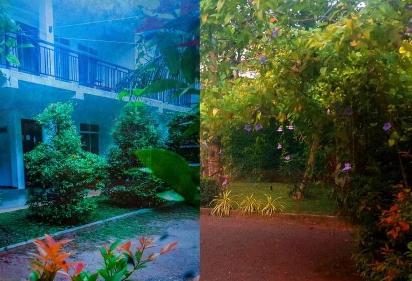 بنسيون La Serene Resort