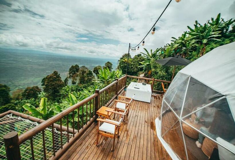 בית מלון כפרי La Cima Eco