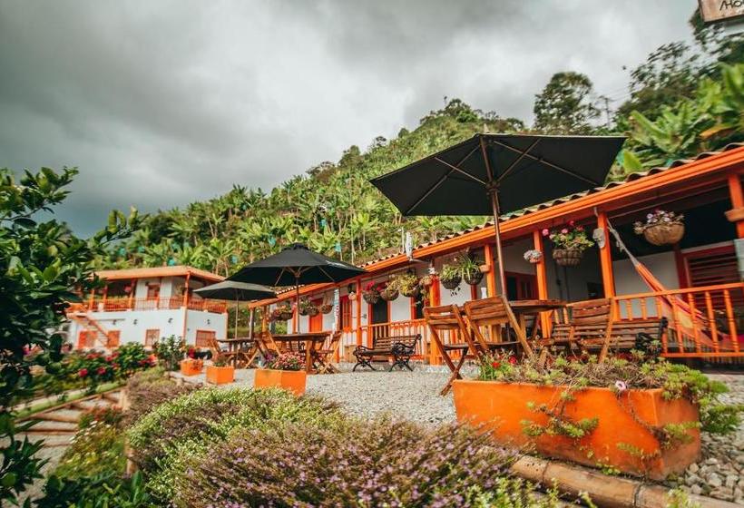 בית מלון כפרי La Cima Eco