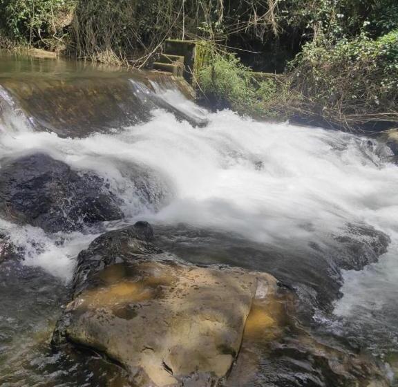 בית מלון כפרי Morpho Coorg