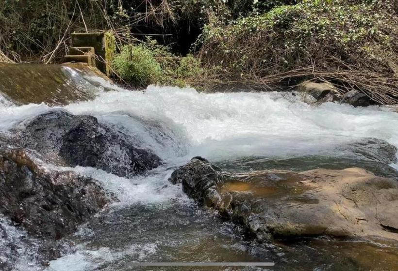 בית מלון כפרי Morpho Coorg