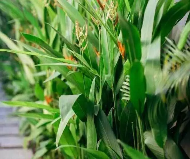 Mother Earth Luxury Boutique Hotel, Restaurant & Spa