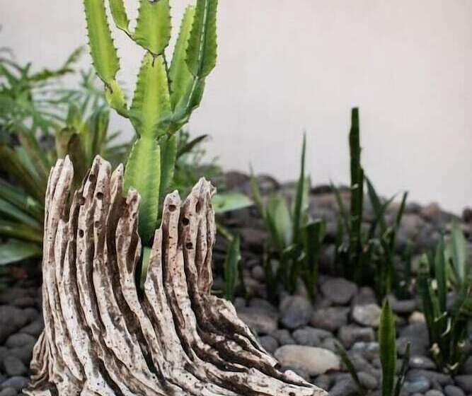 Mother Earth Luxury Boutique Hotel, Restaurant & Spa