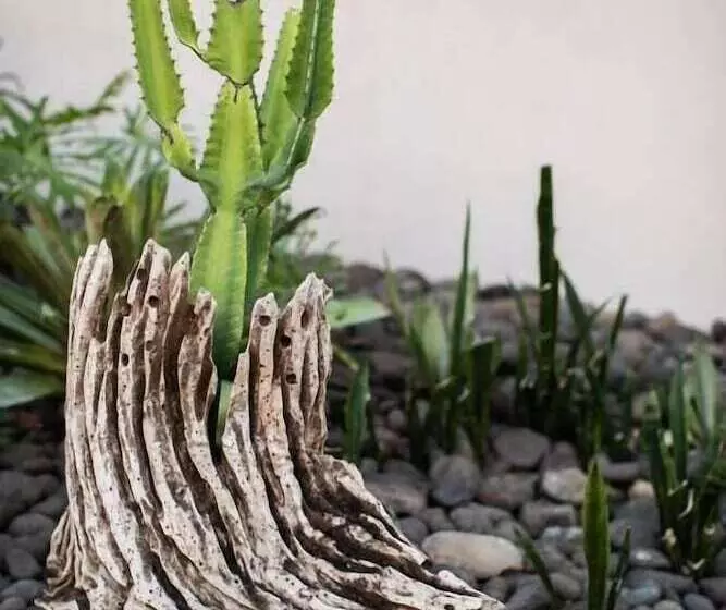 Mother Earth Luxury Boutique Hotel, Restaurant & Spa