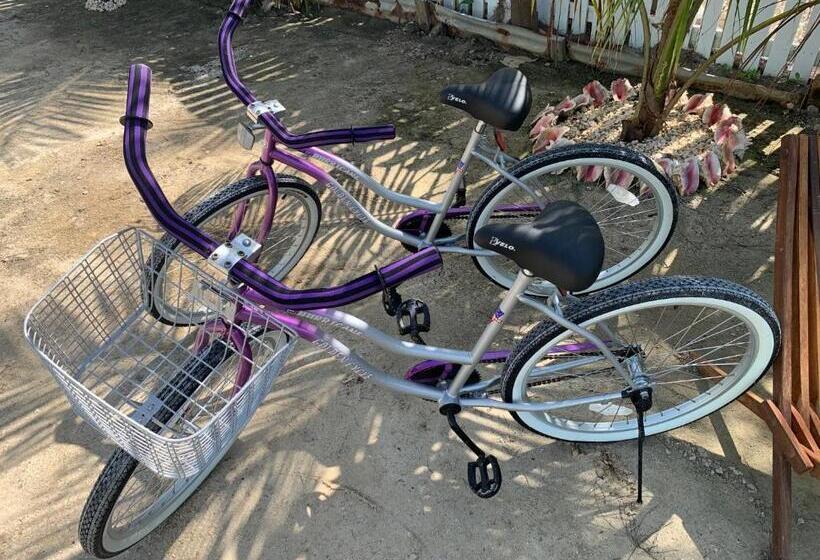 پانسیون Lily Pad Ii