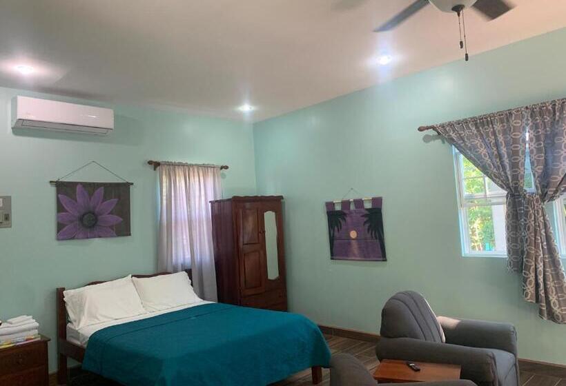 پانسیون Lily Pad Ii