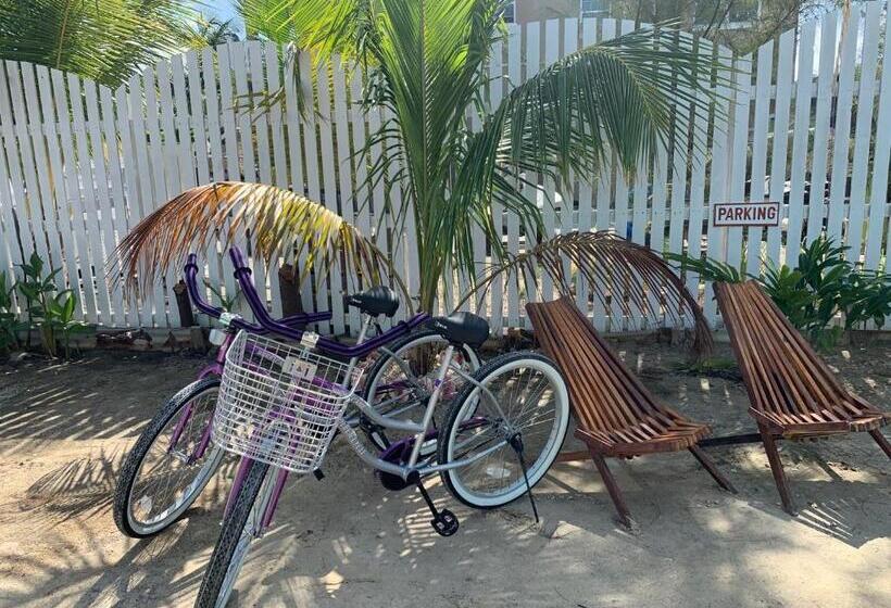 پانسیون Lily Pad Ii