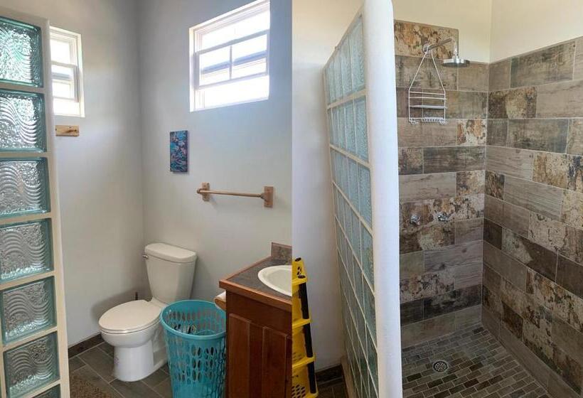 پانسیون Lily Pad Ii