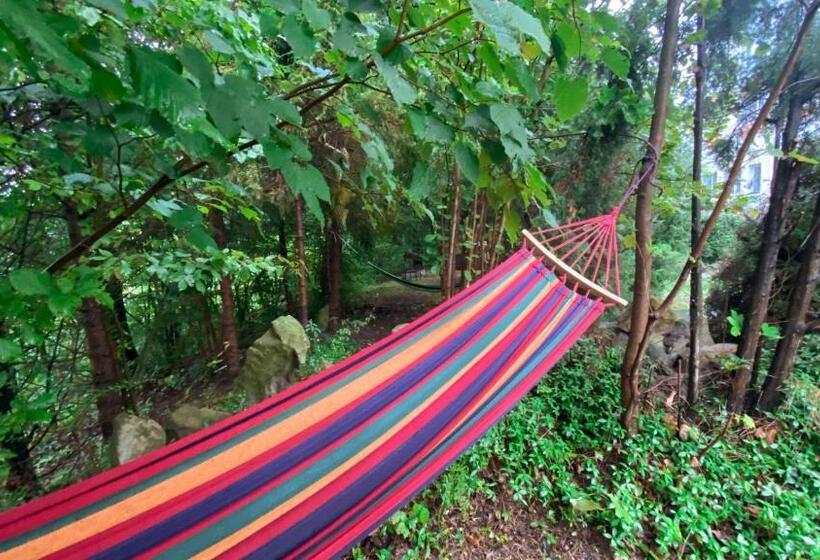 בית מלון כפרי алексік