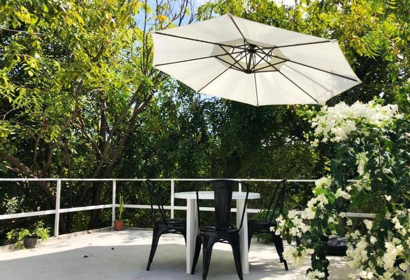 هتل La Isla Bonita Maldives