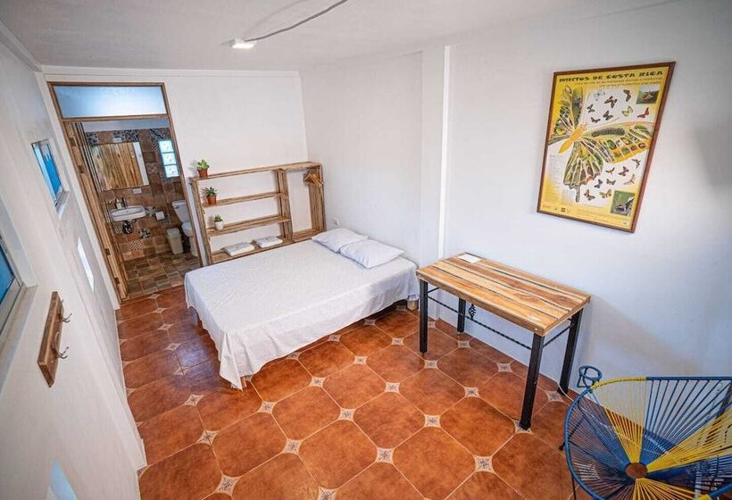 پانسیون Pura Natura Beachfront Tortuguero