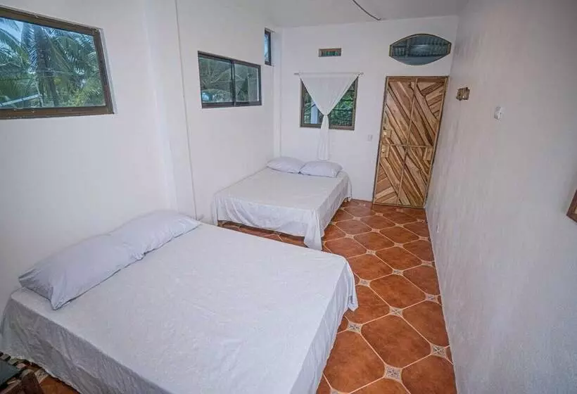 Majatalo Pura Natura Beachfront Tortuguero