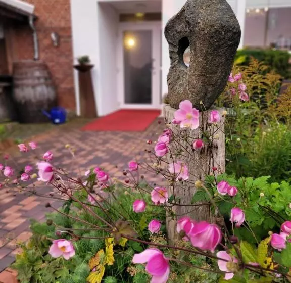 Room And Kitchen Im Katerberg