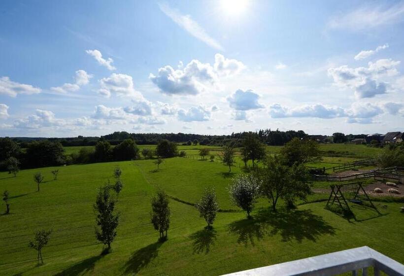 Room And Kitchen Im Katerberg