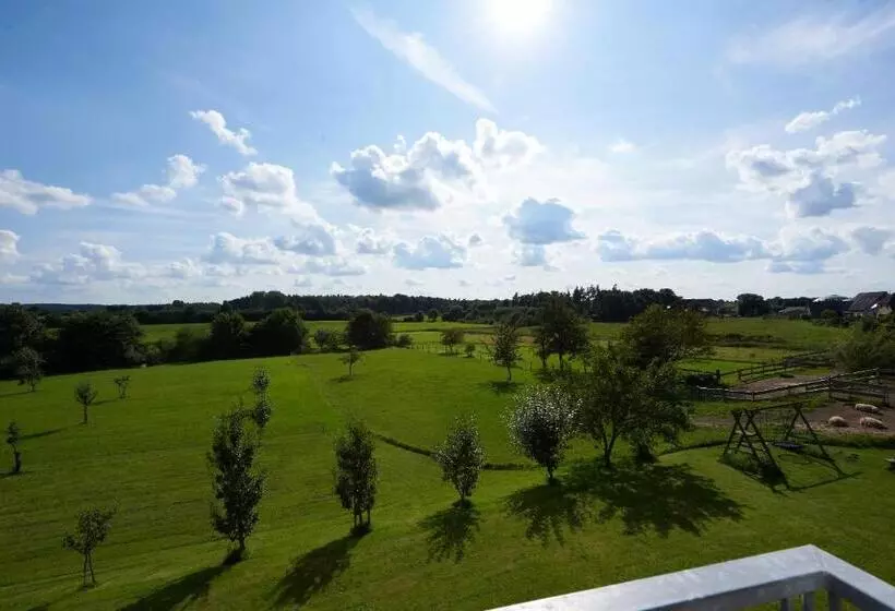 Room And Kitchen Im Katerberg