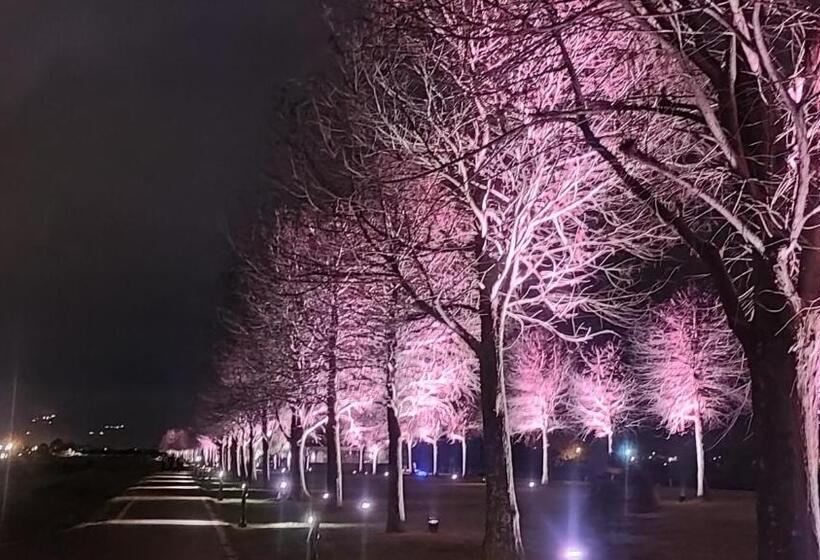 山多香青年民宿 Santhosham Hostel