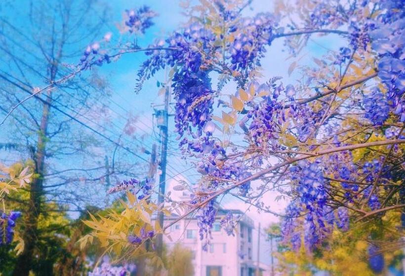 山多香青年民宿 Santhosham Hostel